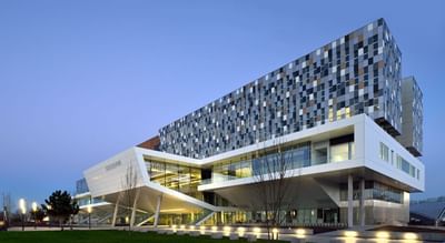 Bachelor in Sports Management