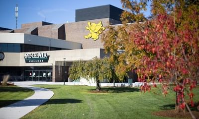 Certificate in International Business Management