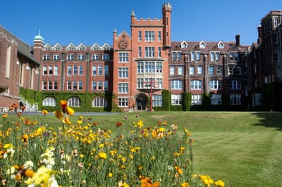 Diploma in Business - Accounting