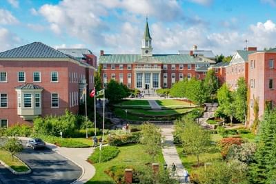 Bachelor in Law Politics and Society (Major)