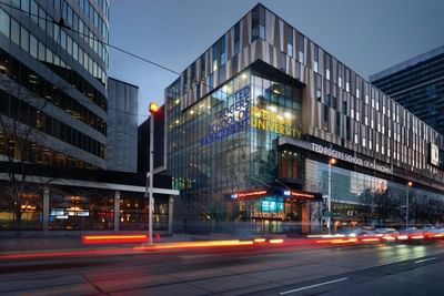 Bachelor in Accounting