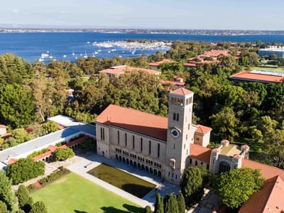 Bachelor of Statistics