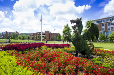 MS Engineering Management