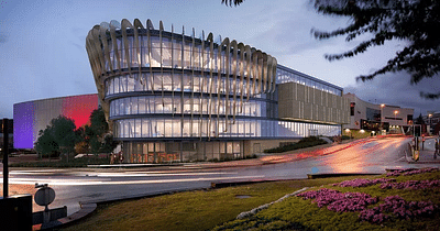 MSc Management with International Business