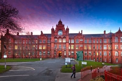 BSc (Hons) Business Management with Entrepreneurship with Placement year