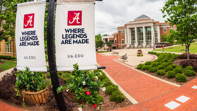 Bachelor of Political Science (B.A)