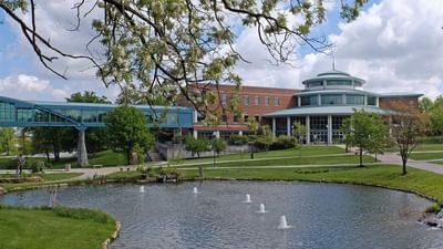 Bachelor Biochemistry And Biotechnology