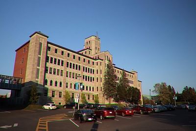 Bachelor in Accounting