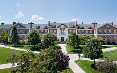 Bachelor of International Business