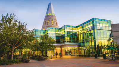 Bachelor of Science [B.S] Health Informatics and Information Management