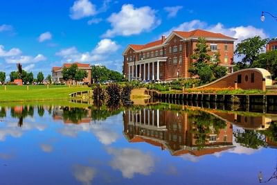 Bachelor of Science [B.S] Information Technology