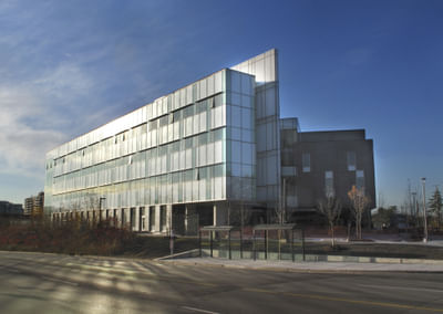 Bachelor in Management and Accounting