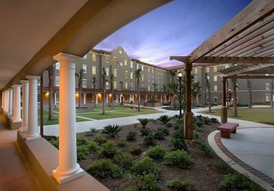 Bachelor of Arts [B.A] Nursing