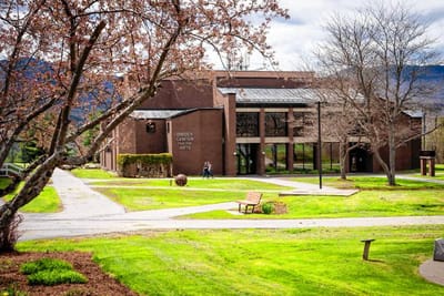 Bachelor of Science [B.S] Business Technology and Management