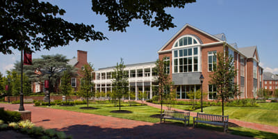 Bachelor of Science [B.S] Economics