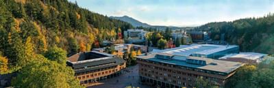 Kinesiology — Sport Psychology Specialization, BS