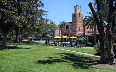 Bachelor Game Art and Design