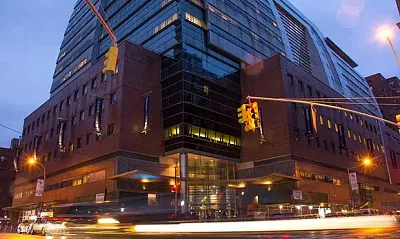 Doctor of Philosophy in Accounting