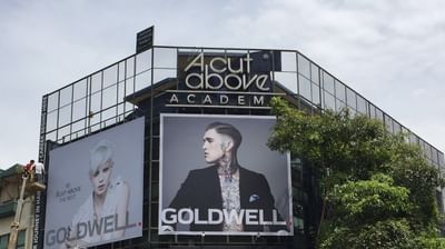 New Zealand Certificate in Hairdressing (Salon Support) Level 3