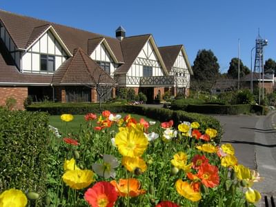 Master of Contemporary International Studies