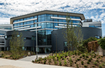 Master of Business Administration