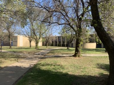 Diploma of Leadership and Management