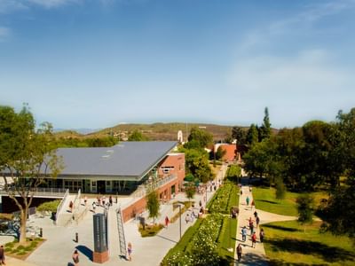 Master of Science [M.S] Computer Science