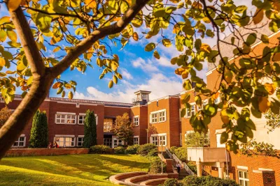 Bachelor Of Arts [B.A] Psychology