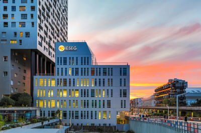 Master in International Business