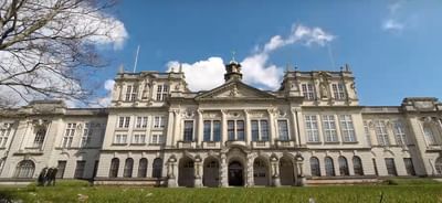 International Year One in Business Management