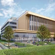 BSc Psychology