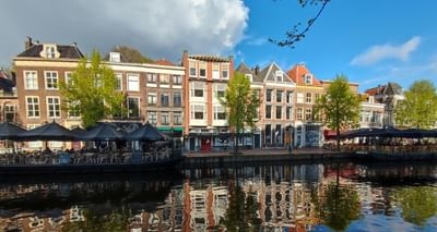 BA in International Relations