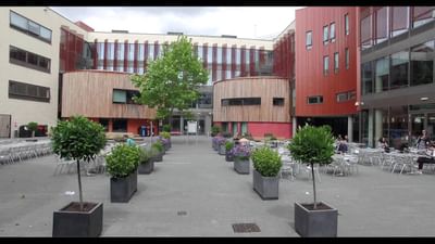 MSc Marketing