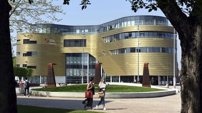 MSc International Management Marketing Management