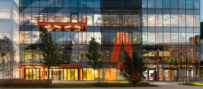 MSc International Business Management