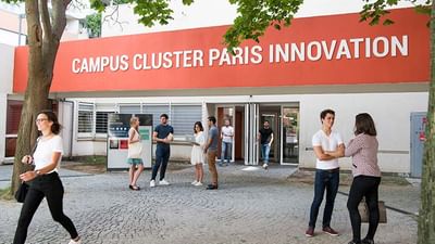 International Bachelor in Management