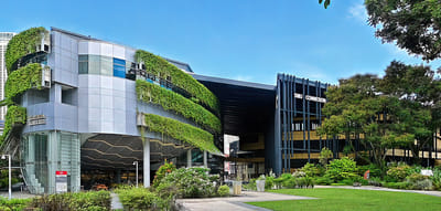 Bachelor of Business Management