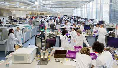 Master of Business Administration - MBA