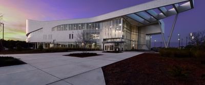 Bachelor of Science [B.S] Psychology