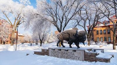 Bachelor Interior Design